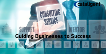 Business Consulting Services