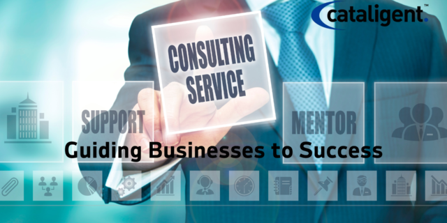 Business Consulting Services