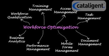 Workforce Planning & Optimization