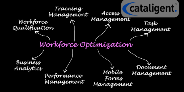Workforce Planning & Optimization
