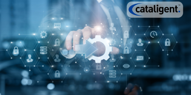 What Does Technology and IT Consulting Entail