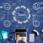 Subscription-Based Software (SaaS)