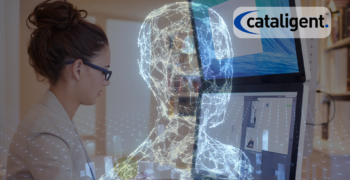 The Role of a Technology and IT Consultant