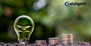 Cost-Saving Strategies for Revenue-Driven Cost Reduction