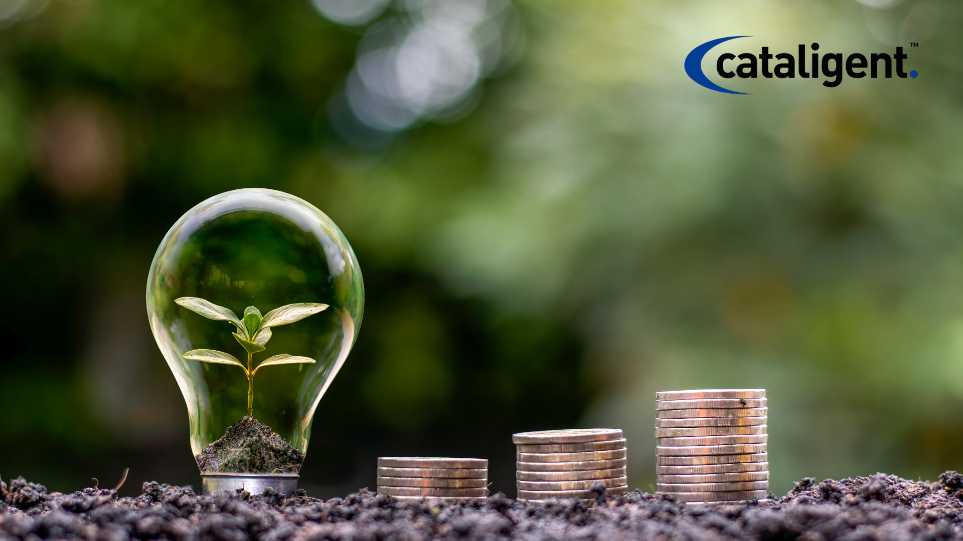 Cost-Saving Strategies for Revenue-Driven Cost Reduction