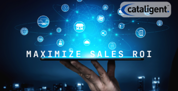 Focus on High-ROI Sales Channels: Maximizing Profitability and Efficiency