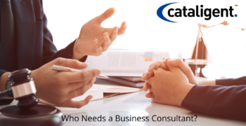What Kind of Businesses Need Consultants and Why?