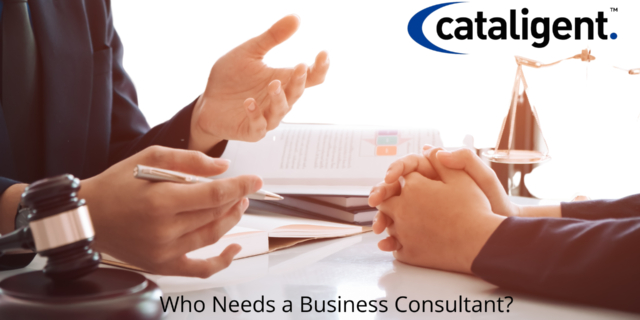 What Kinds of Businesses Need a Consultant?