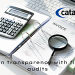 Conduct Regular Financial Audits