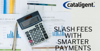 Optimizing Payment Processing Fees: A Comprehensive Guide