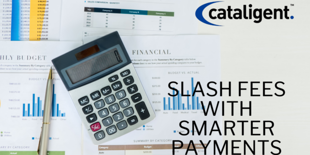 Optimize Payment Processing Fees