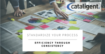 Process Standardization in Cost Saving Programs: A Comprehensive Approach