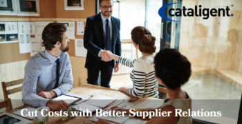 Streamlining Supplier Relationships for Cost Savings
