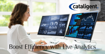 Using Real-Time Data Analytics for Inventory Decisions