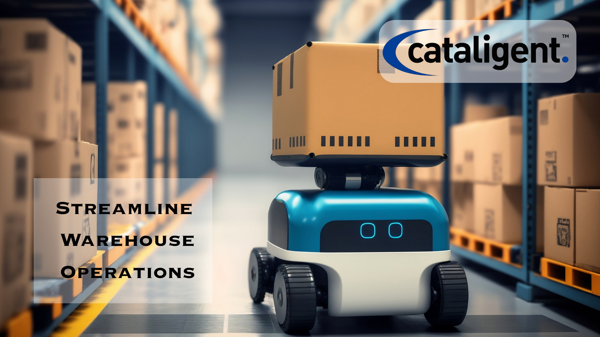 Reduce Holding Costs with Better Warehouse Organization