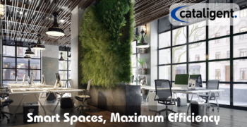 Optimizing Office Space Utilization: A Strategic Approach to Efficiency and Cost Savings