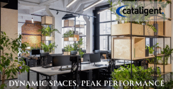Optimizing Space Utilization: Maximizing Efficiency and Cost Savings