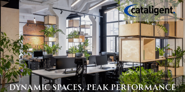 Optimize Space Utilization