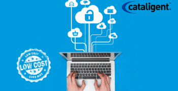 Optimizing Security Costs with Technology-Driven Solutions