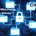 Secure Intellectual Property (IP) and Data Assets