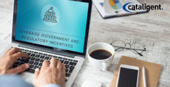Leverage Government and Regulatory Incentives