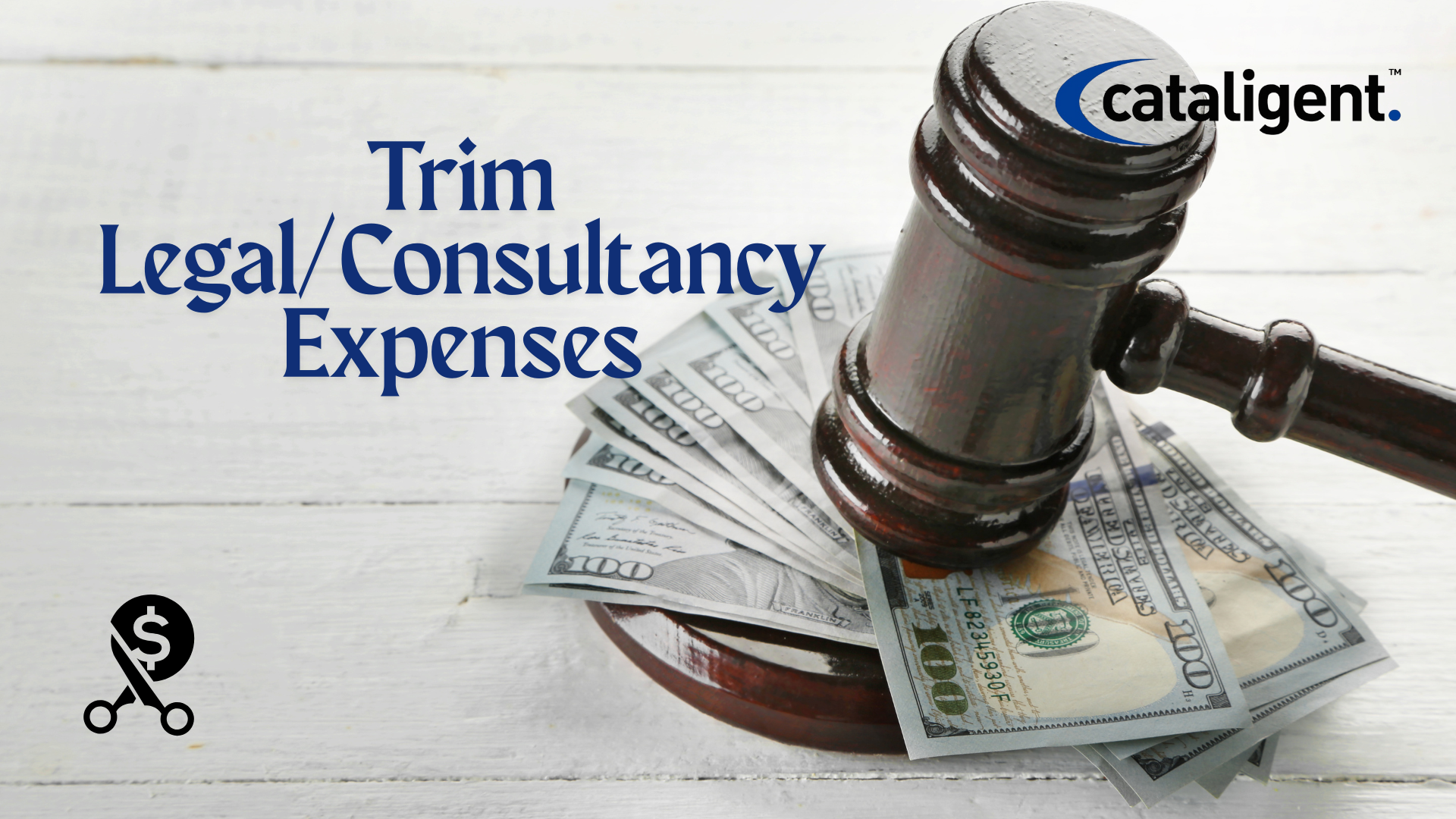 Reduce Legal and Consultancy Fees