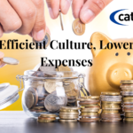 Cost-Saving Strategies for Culture