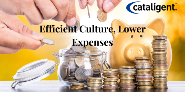 Cost-Saving Strategies for Culture