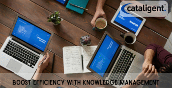 Implementing Knowledge Management Systems: A Comprehensive Guide