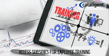 Leverage Government Grants and Training Subsidies to Maximize Workforce Development