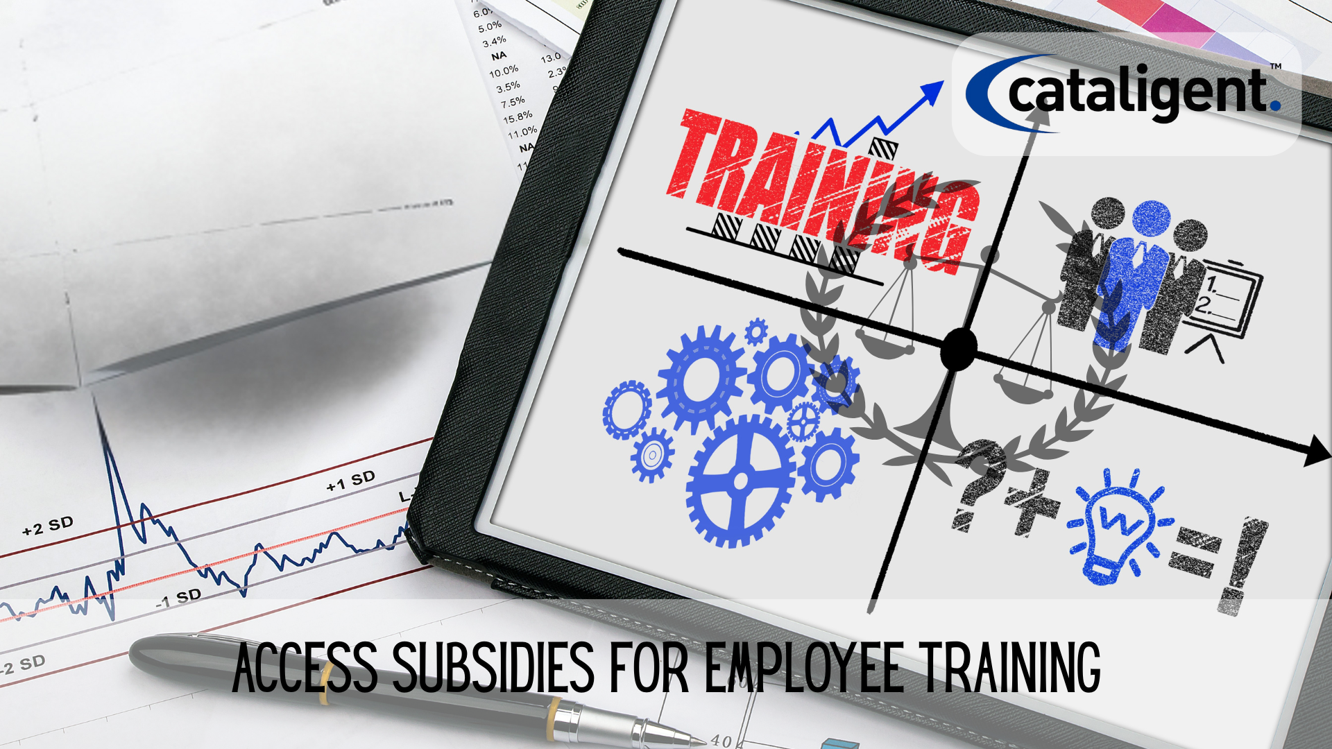 Leverage Government Grants and Training Subsidies