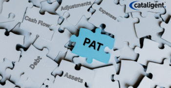 How Accounting Adjustments Affect Truth Behind High PAT