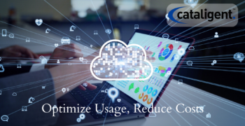 Cost-Saving Strategies for As-a-Service Models