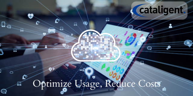 Cost-Saving Strategies for As-a-Service Models