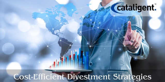 Cost-Saving Strategies for Strategic Divestitures