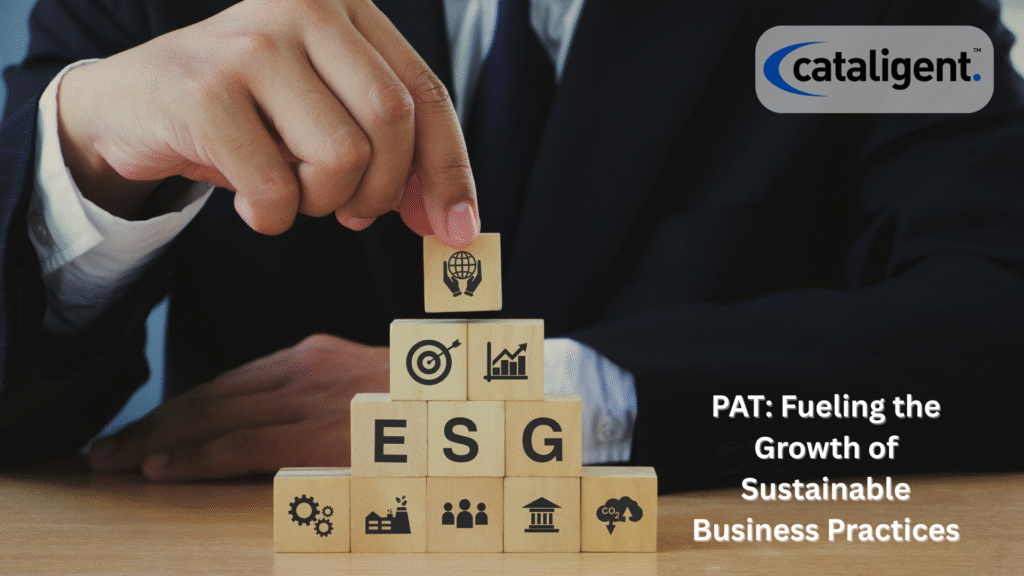 Role of PAT in Business Sustainability and ESG Reporting
