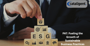 Role of PAT in Business Sustainability and ESG Reporting