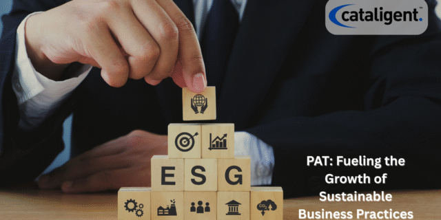Role of PAT in Business Sustainability and ESG Reporting