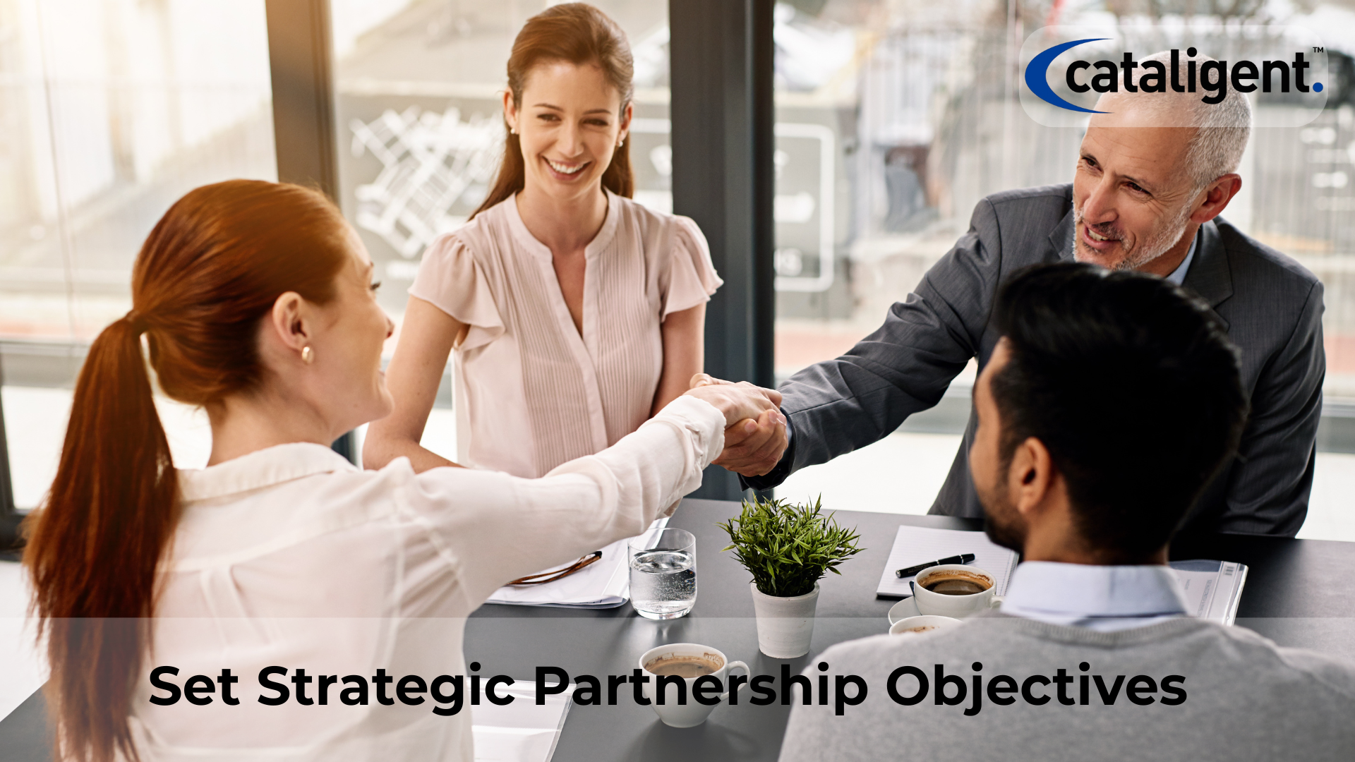 Establish Clear Partnership Objectives