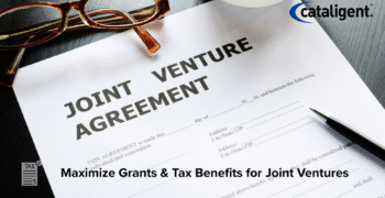 Leverage Government Grants and Tax Benefits for Joint Ventures