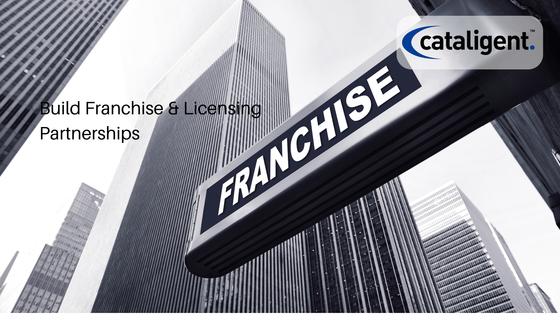Develop Franchise or Licensing Partnerships