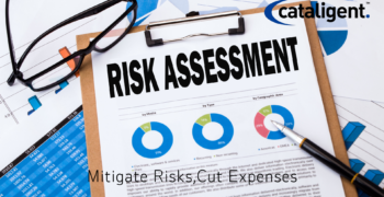 Cost-Saving Strategies for Risk Mitigation Programs
