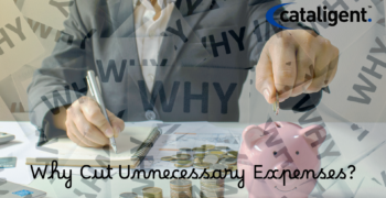 Why Should Large Companies Consider Saving Costs?