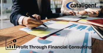 The Role of Financial Consulting in Ensuring Business Profitability