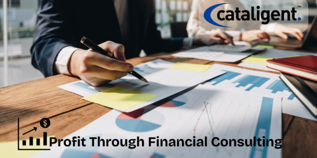 The Role of Financial Consulting in Ensuring Business Profitability