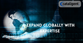 The Essential Guide to International Business Expansion with Consulting