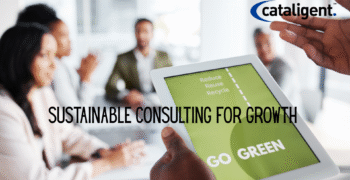 The Role of Sustainability in Modern Business Consulting