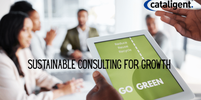 The Role of Sustainability in Modern Business Consulting