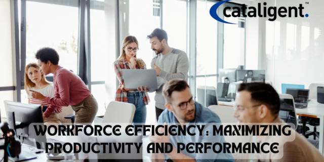 WORFORCE EFFICIENCY STRATEGY IMPLEMENTATION CATALIGENT