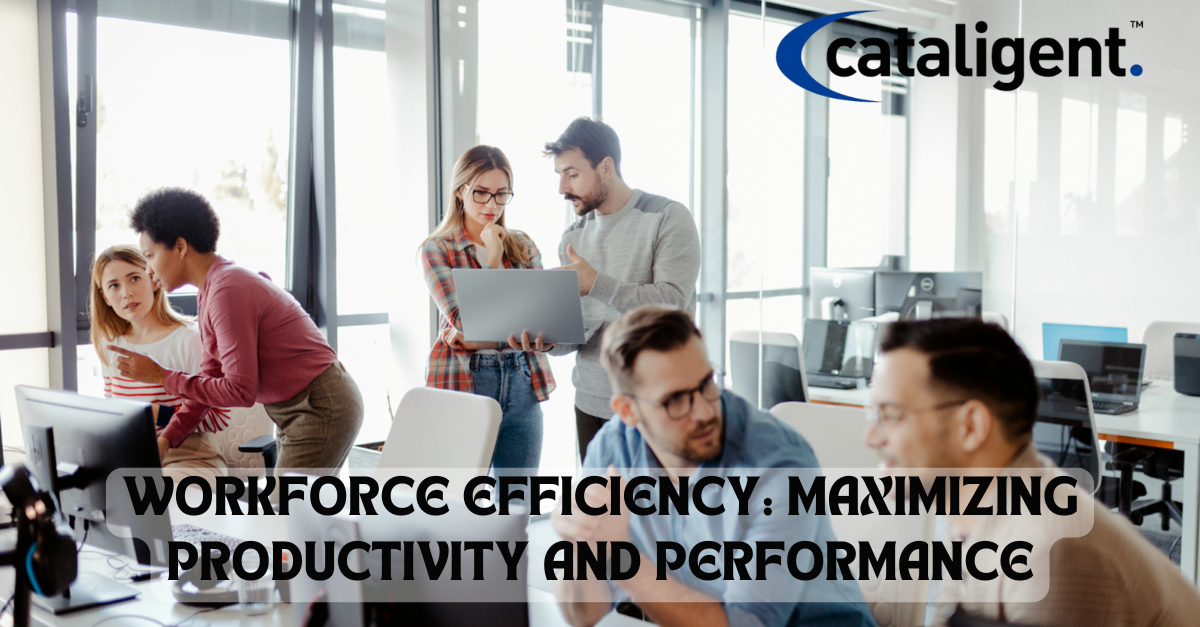 WORFORCE EFFICIENCY STRATEGY IMPLEMENTATION CATALIGENT